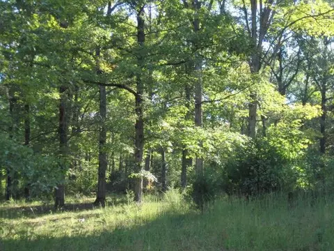 tbd Pecan Grove Rd, Alma, AR 72921 photo 4