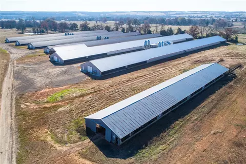 11338 Doe Run Trl, Ozark, AR 72949 photo 6