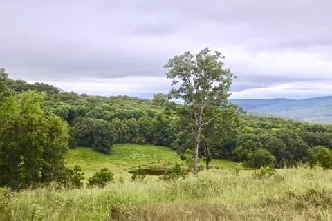 22161 Bugscuffle Rd, West Fork, AR 72774 photo 1