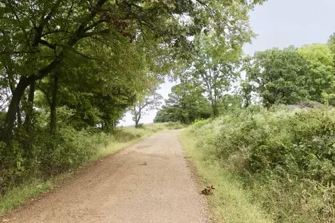 22161 Bugscuffle Rd, West Fork, AR 72774 photo 15