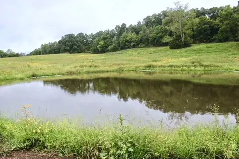 22161 Bugscuffle Rd, West Fork, AR 72774 photo 3