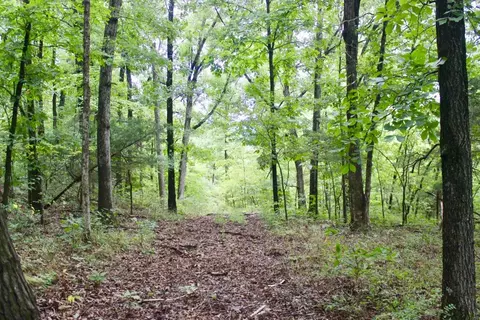 22161 Bugscuffle Rd, West Fork, AR 72774 photo 17