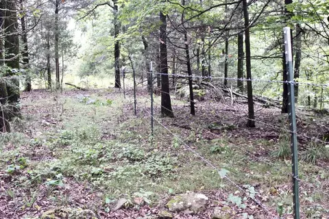 22161 Bugscuffle Rd, West Fork, AR 72774 photo 9