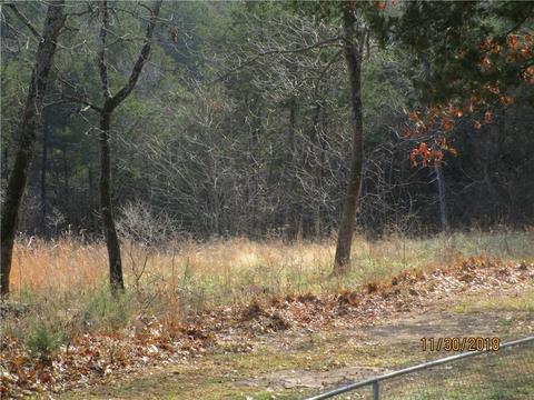 22905 Mockingbird Dr, Golden, MO 65658 photo 26