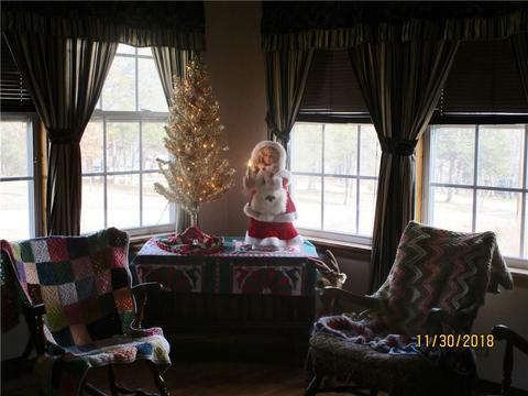 22905 Mockingbird Dr, Golden, MO 65658 photo 21