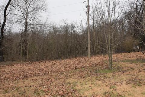 705 E Maness St, Anderson, MO 64831 photo 16