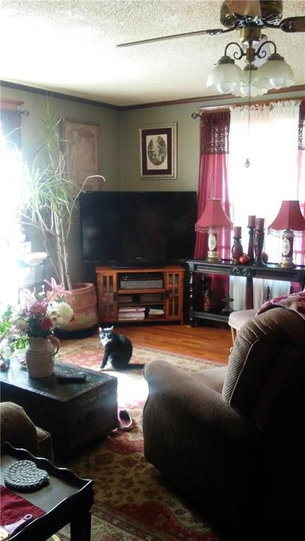 705 E Maness St, Anderson, MO 64831 photo 24