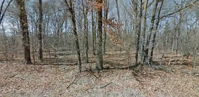 lot7 Blk 4 Dirleton Dr, Bella Vista, AR 72715