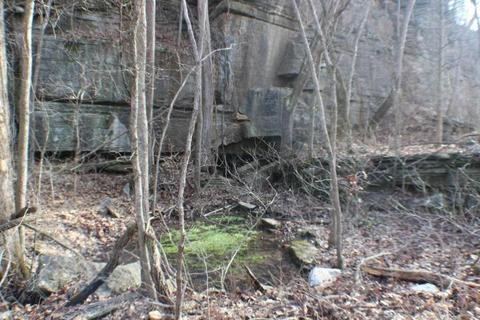 324 Bunch Ln, Noel, MO 64854 photo 14