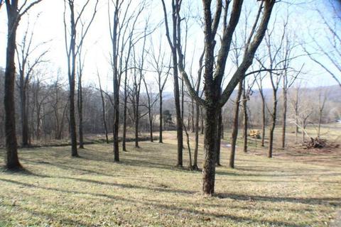 324 Bunch Ln, Noel, MO 64854 photo 9