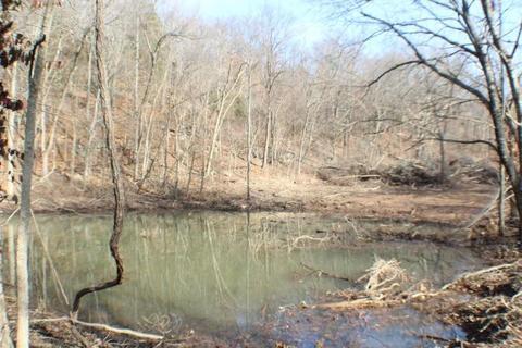 324 Bunch Ln, Noel, MO 64854 photo 13