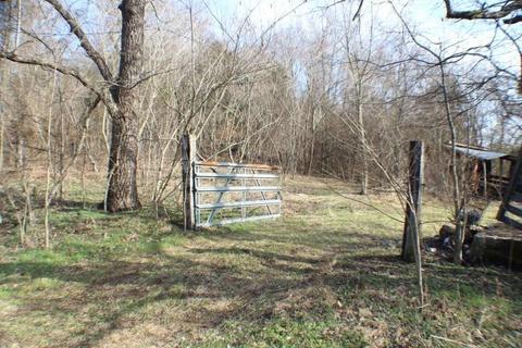 324 Bunch Ln, Noel, MO 64854 photo 5