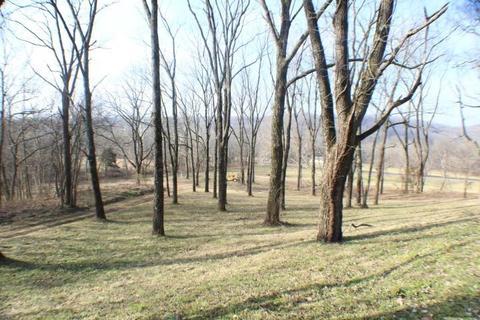 324 Bunch Ln, Noel, MO 64854 photo 8