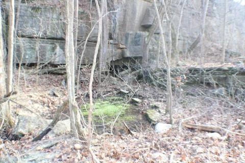 324 Bunch Ln, Noel, MO 64854 photo 15