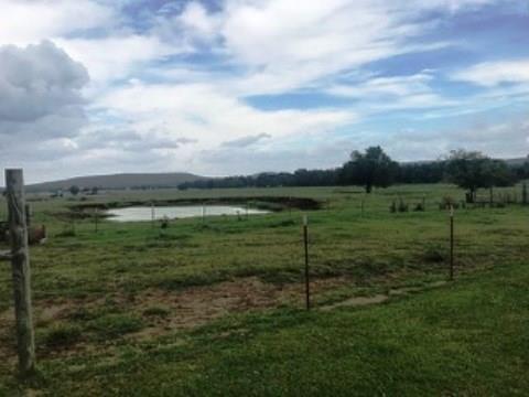 11072 Wolf Track Rd, Summers, AR 72769 photo 26