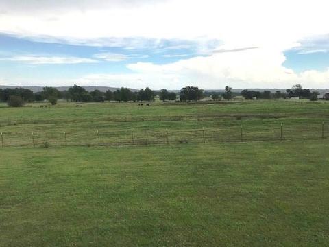 11072 Wolf Track Rd, Summers, AR 72769 photo 27