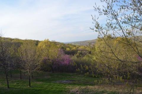 12992 Green Rd, West Fork, AR 72774 photo 29