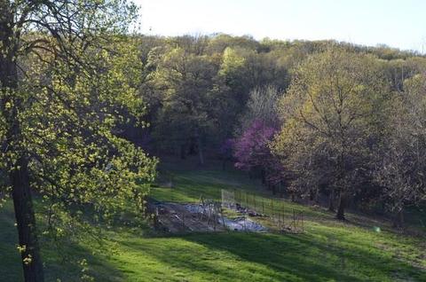 12992 Green Rd, West Fork, AR 72774 photo 28