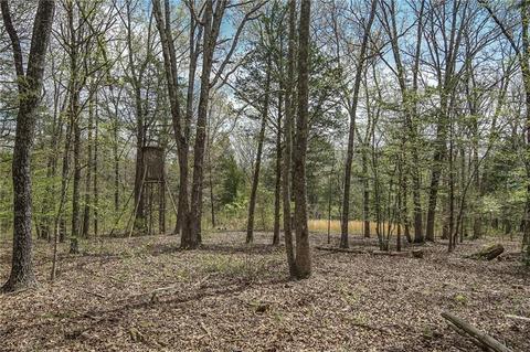 3016 Madison 5550, Combs, AR 72721 photo 26