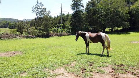 596 County Road 5099, Ozark, AR 72949 photo 16