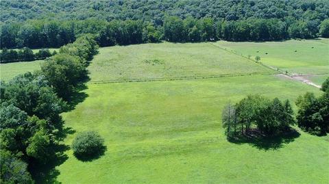 596 County Road 5099, Ozark, AR 72949 photo 11