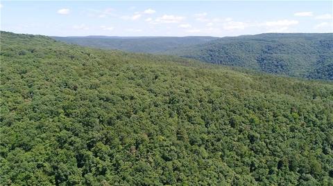 596 County Road 5099, Ozark, AR 72949 photo 6