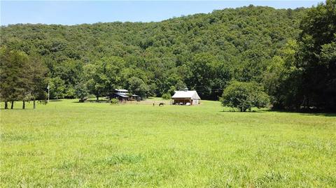 596 County Road 5099, Ozark, AR 72949 photo 17