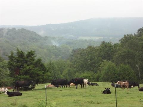 15515 Trace Branch Rd, West Fork, AR 72774 photo 23
