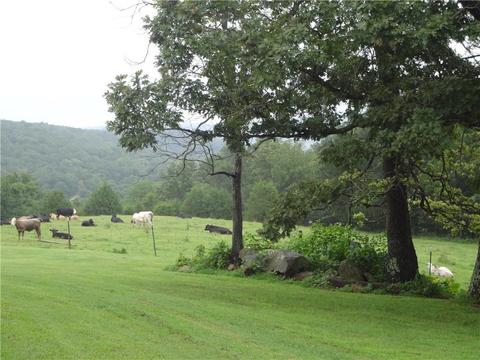 15515 Trace Branch Rd, West Fork, AR 72774 photo 22