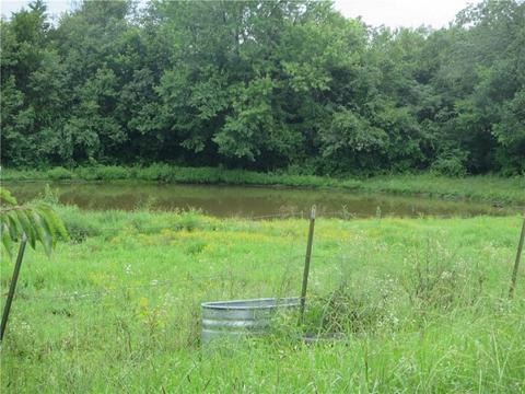 5865 Casey Ln, West Fork, AR 72774 photo 5