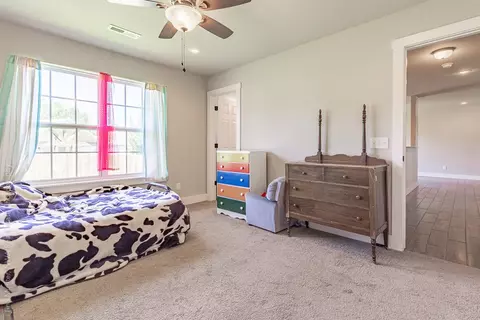910 Windsor Ct, Gentry, AR 72734 photo 13