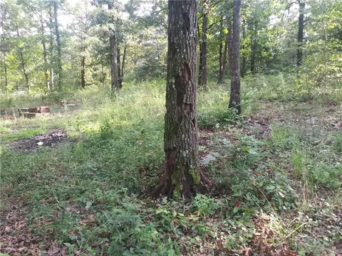 144 Clement Rd, Seligman, MO 65745 photo 6
