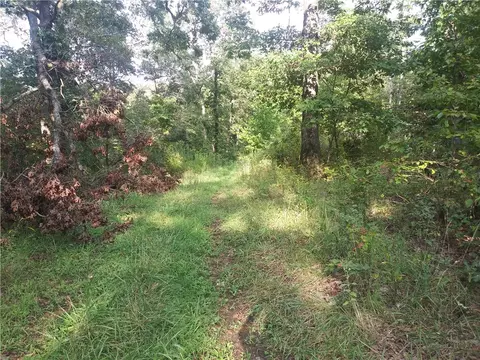 144 Clement Rd, Seligman, MO 65745 photo 13