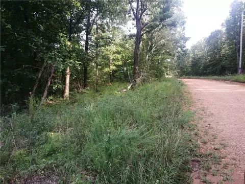 144 Clement Rd, Seligman, MO 65745 photo 4