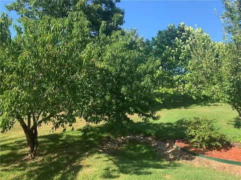 11495 Route E, Pineville, MO 64856 photo 27