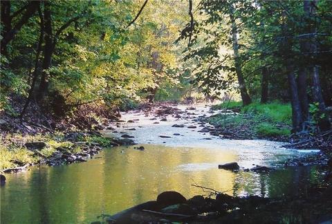 16031 Trace Branch Rd, West Fork, AR 72774 photo 25