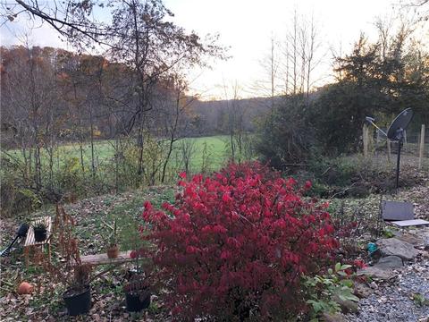 16031 Trace Branch Rd, West Fork, AR 72774 photo 6