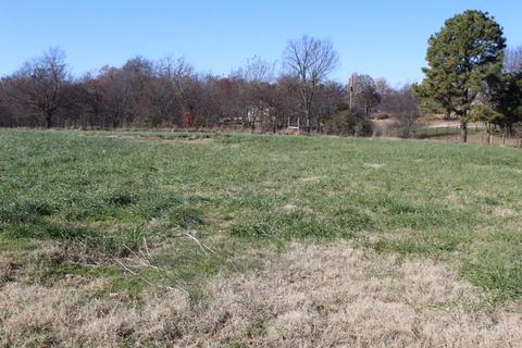 1239 Taldo Loop, Springdale, AR 72762 photo 5