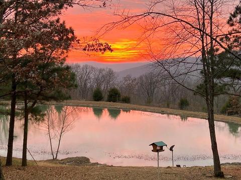 10600 W Devils Den Rd, Winslow, AR 72959 photo 1