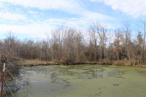 692 Wolf Ridge Rd, Goodman, MO 64843 photo 24