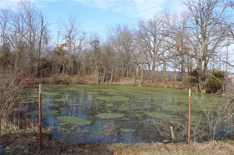 692 Wolf Ridge Rd, Goodman, MO 64843 photo 23