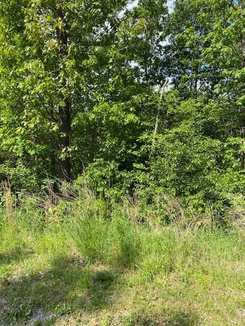 lot24 Stoneleigh Ln, Bella Vista, AR 72715
