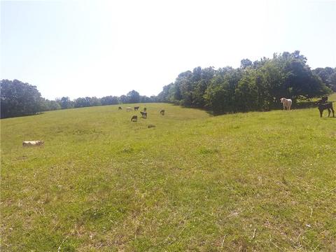 1140 Mud Springs Rd, Anderson, MO 64831 photo 26