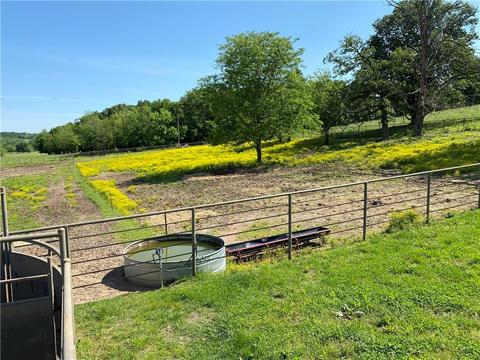 1140 Mud Springs Rd, Anderson, MO 64831 photo 22