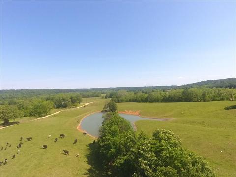 1140 Mud Springs Rd, Anderson, MO 64831 photo 14