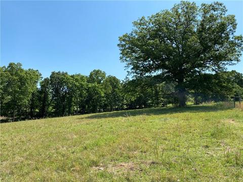 1140 Mud Springs Rd, Anderson, MO 64831 photo 7
