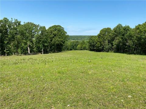 1140 Mud Springs Rd, Anderson, MO 64831 photo 13