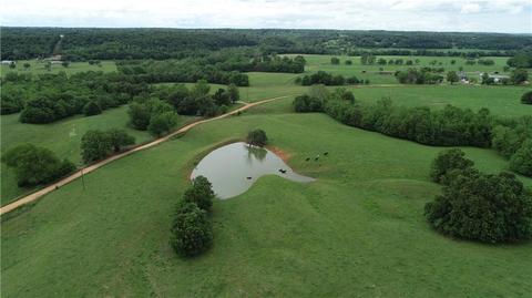 1140 Mud Springs Rd, Anderson, MO 64831 photo 3