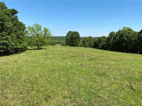 1140 Mud Springs Rd, Anderson, MO 64831 photo 15