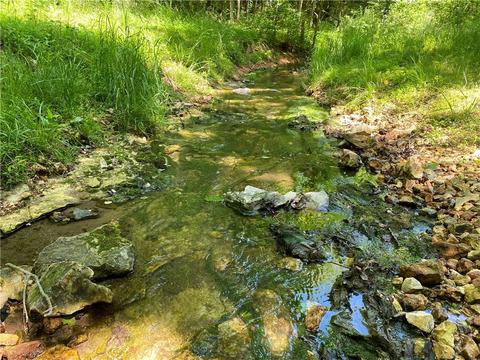 1140 Mud Springs Rd, Anderson, MO 64831 photo 4